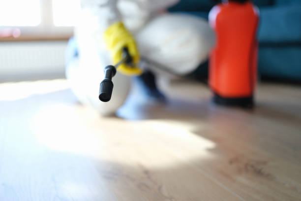Best Mold Documentation for Insurance Claims  in Rosebud, SD