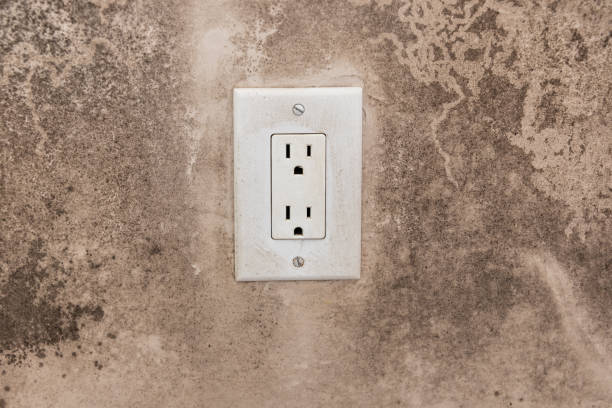 Best Mold Prevention Services  in Rosebud, SD